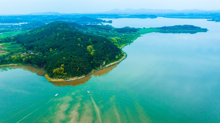 学习强国安庆望江生态武昌湖湿地风光美