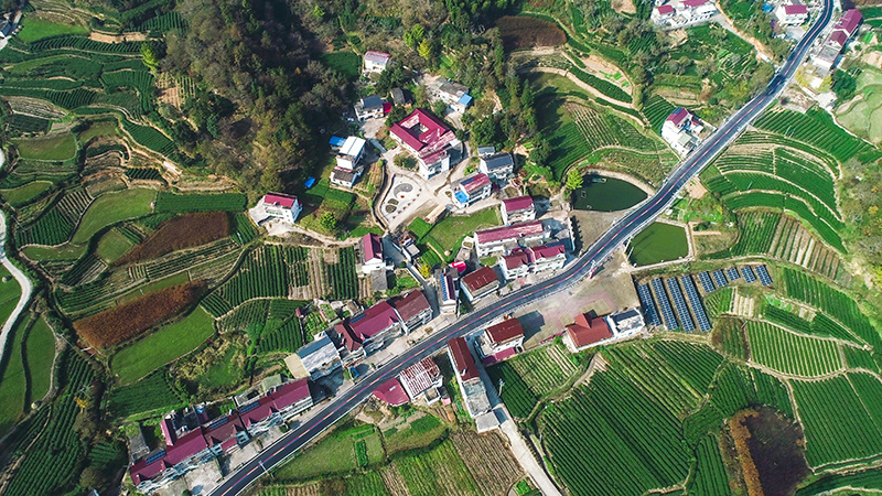 岳西菖蒲镇开启再美颜模式持续推进农村人居环境整治