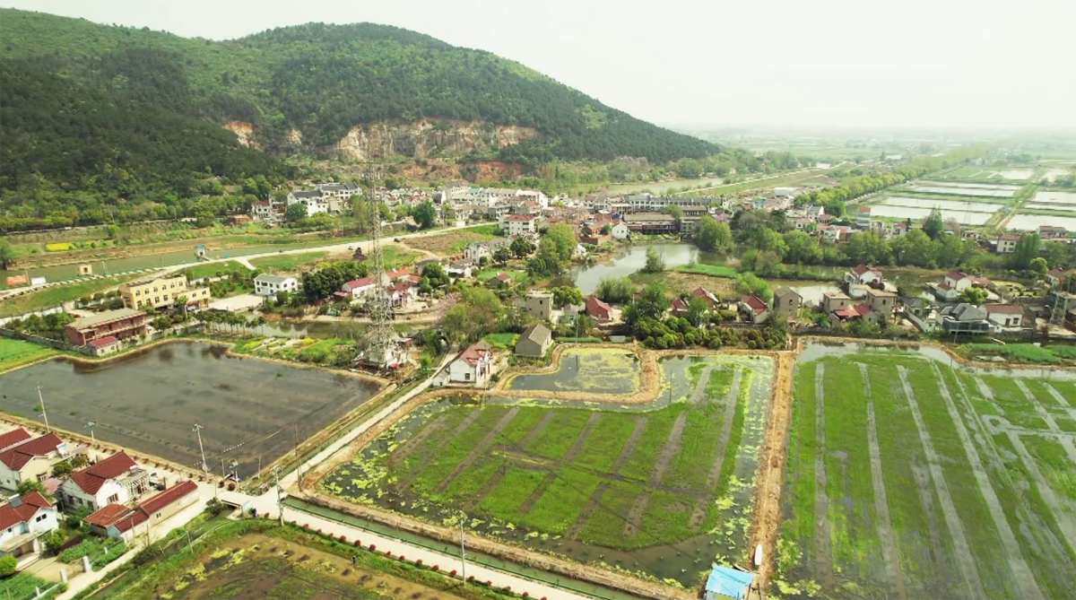 安徽当涂:"小蓝龙"闯出致富路_宿州市乡村振兴局