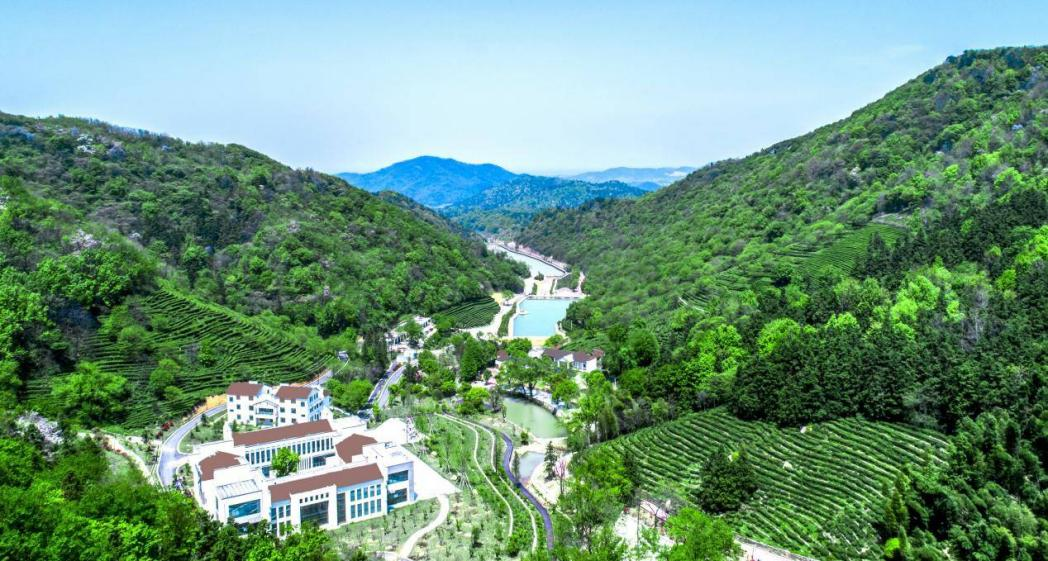杨亭村